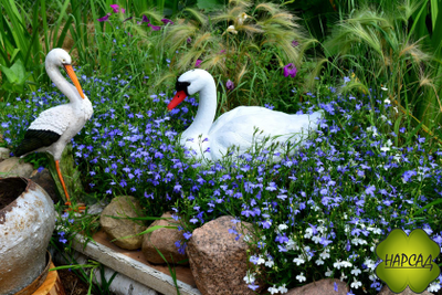 ЛОБЕЛИЯ 10 ШТ (ПЫШНОЦВЕТУЩАЯ, НЕПРИХОТЛИВАЯ)