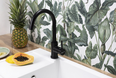 Смеситель OMOIKIRI SHINAGAWA 2 PLUS LG