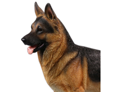 СЛУЖЕБНАЯ СОБАКА - КОЛЛЕКЦИОННАЯ ФИГУРКА 1/6 German Shepherd Dog (MCC-001) - MCCTOYS