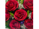 Модель № F326