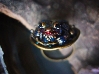 "Ночной Светлячок Кваказура. Вавилонские сказки", волшебное кольцо с лягушкой и опалом