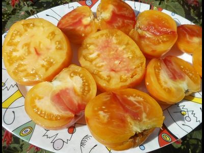 Томат Старый немецкий (Old German)