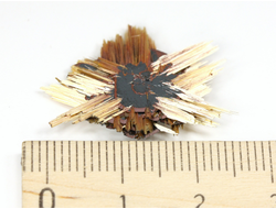 Редкость! Рутил свободного роста, сростки "звезды" золотистых игольчатых кристаллов на кристаллах гематита, Бразилия (25*21*3,5 мм, 2,3 г) №37915