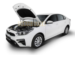 Амортизаторы капота, 2 шт. АвтоУпор для Kia Cerato IV 2018-