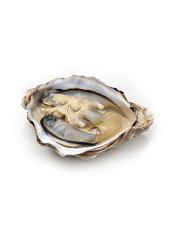 Устрица Рояль