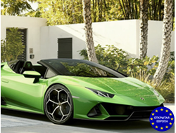 Зеленая карта на 1 месяц!