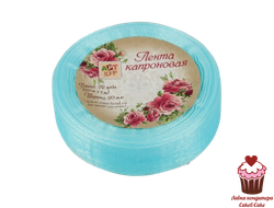 Лента капроновая 20 мм Голубой, катушка 20м