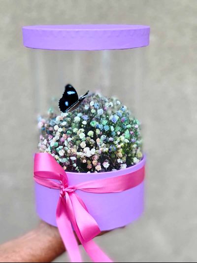 Букет из гипсофилы с бабочкой №57