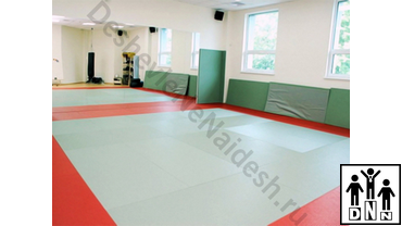 покрытие для борцовского ковра