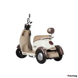Электротрицикл Rutrike Gelbert Ogma 48V/60V 650Вт бело-коричневый