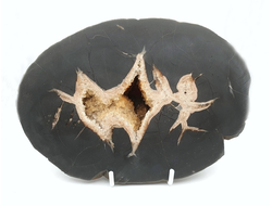 Септария с жеодой кальцита, срез полированный, Россия, Кавказ (257*184*85 мм, 4260 г) №28035