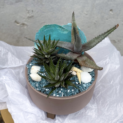 Голубая ракушка