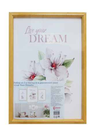 Набор постеров в раме из 3 шт.,  дерево, ПРН-180
