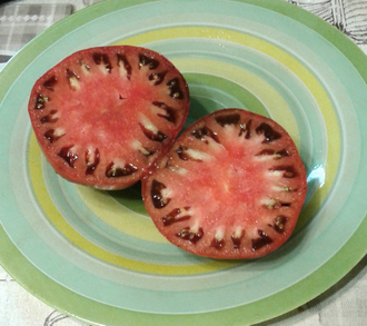 Семена томата Тундра