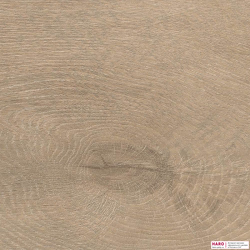 Декор ламината Haro Tritty 100 Дуб Венето кремовый 535261 структура