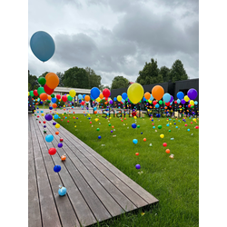 Шар цепочка с пузырями цвет ассорти (размер 12д)