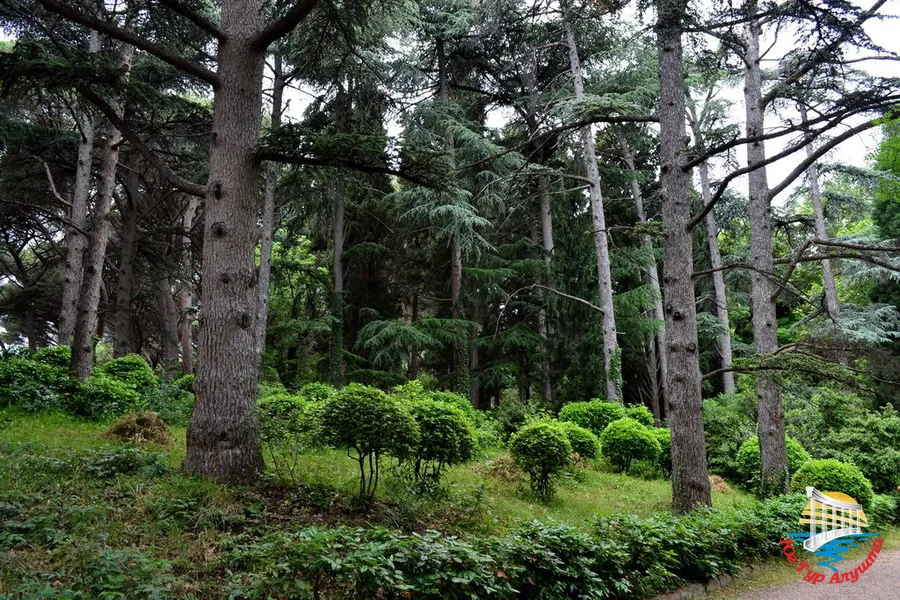 Парк в Карасане