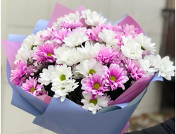 Букет из 7 кустовых хризантем "Лиловый"