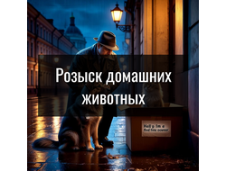 Розыск любимых питомцев