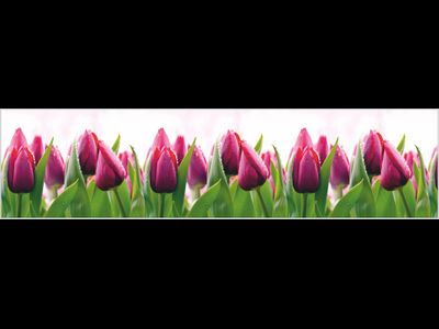 Тюльпаны (3х0,6 м; 2х0,6 м)