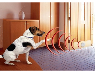 ЭЛЕКТРОННЫЕ ЗАБОРЫ - Беспроводной невидимый забор для дома «Pet Manager ...