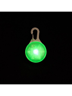 Светящийся брелок для собак