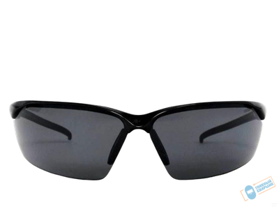 Очки защитные Warrior Spec затемненные