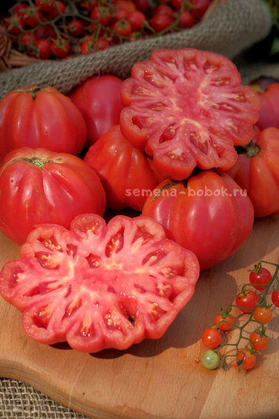 Томат Etoile (Этуаль), 10 шт