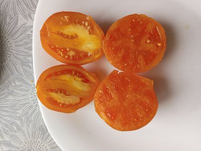 Томат Золото Колчака