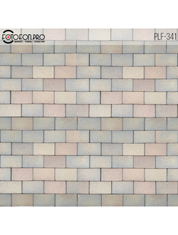 Пластиковый фотофон «Виола»