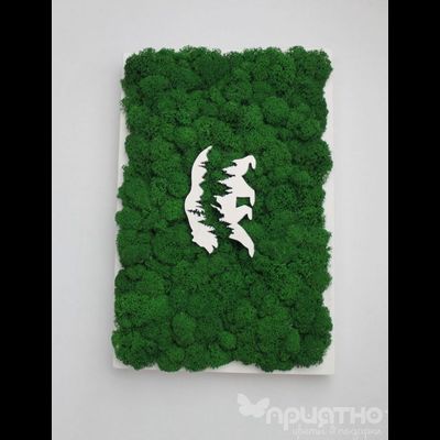 ЖИВАЯ ЭКО-КАРТИНА 1038