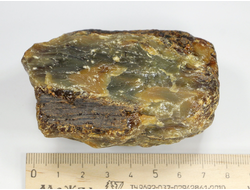 Копал, необработанный "дикий" образец, Индонезия (77*60*32 мм, 100 г) №28351