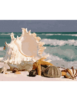 Картина по номерам берег моря с ракушками GX37092 (40x50)