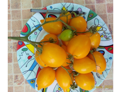 Томат Чудо света