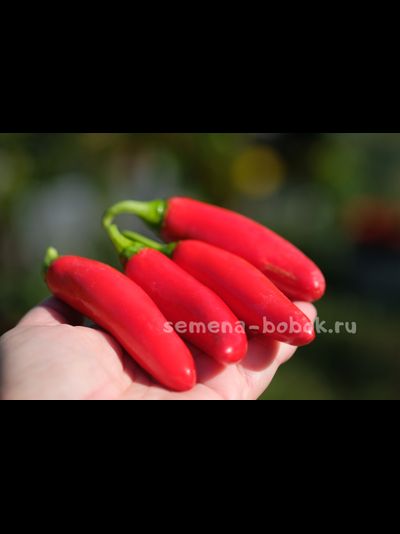 Острый перец CH-19, 10 шт