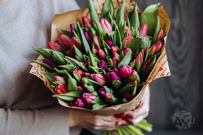 Тюльпаны МИКС 35 шт.