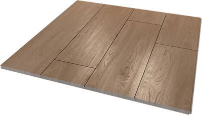 Дуб сахара 5870 (селект)