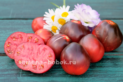 Томат Синяя Груша, 10 шт.