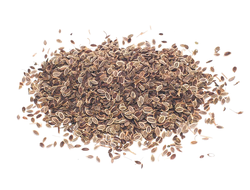 Семена укропа сушеные 500 грамм