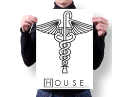 Плакат Доктор Хаус №27
