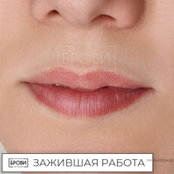 Губы. Малиновая тарталетка Анны Куцеволовой - pm-shop24.ru