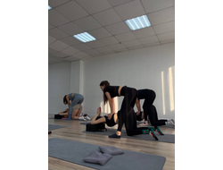 Stretch Life