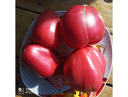 Томат Рабочий выпуск пасты (Work Release Paste)