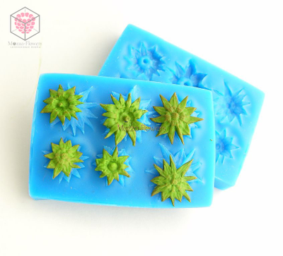 "Чашелистики земляники" вайнер и каттер