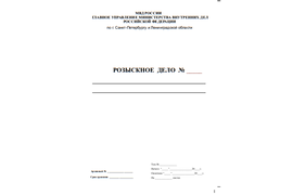 ПАПКА ДЕЛО (по заказу)