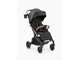 Коляска прогулочная Happy Baby Lynn Black & Flora