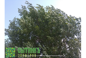 Фермерское хозяйство в Московской области