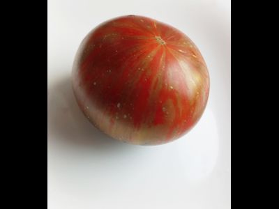 Томат Гном Восторг Диппера (Dwarf Rebel Starfighter Dipper’s Delight)