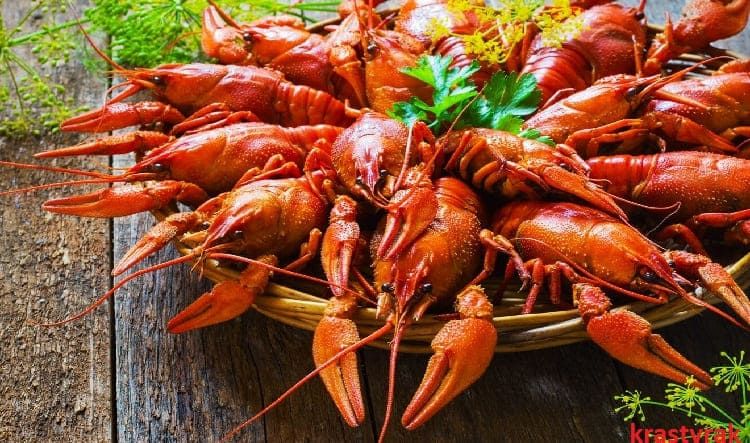 Крупные вареные раки в тарелке