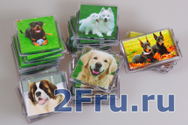 Пластиковые (акриловые) магниты